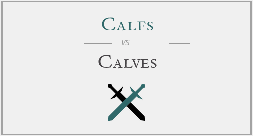 Calfs vs. Calves