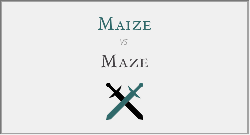 Maize vs. Maze